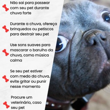 Cuidados com o Pet
